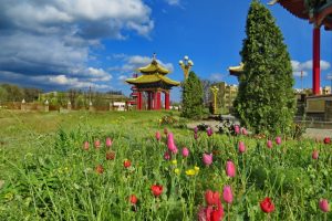 Фестиваль Тюльпанов — Республика Калмыкия