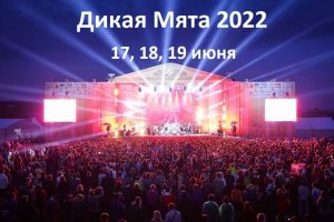 Фестиваль Дикая Мята — 2022
